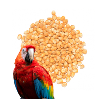 Kukurydza standard drobna dla papug, gołębi 1 kg
