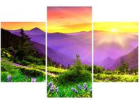 90X60CM OBRAZ KWIECISTA ŁĄKA