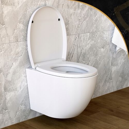 Deska WC sedesowa toaletowa klozetowa WC UNIWERSALNA Wolnoopadająca POLLY na Arena.pl