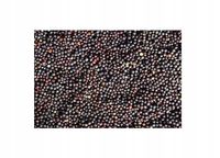 Rzepak dla gołębi, papug, kanarków 5 kg