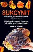 SUKCYNIT BURSZTYN BAŁTYCKI ODKRYTY NA NOWO 417.STR