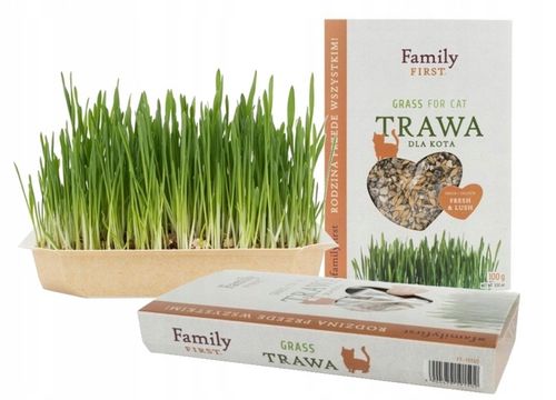 TRAWA DLA KOTA W POJEMNIKU GĘSTA ODKŁACZAJĄCA KOCI PRZYSMAK SMAKOŁYK 4x100G na Arena.pl