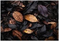 Fototapeta Na Flizelinie Do Sypialni Salonu Liście 400x280