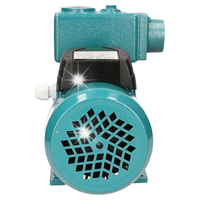 POMPA IBO HYDROFOROWA WZI 250 WZ250 POD HYDROFOR SSĄCA OGRODOWA PODLEWANIA