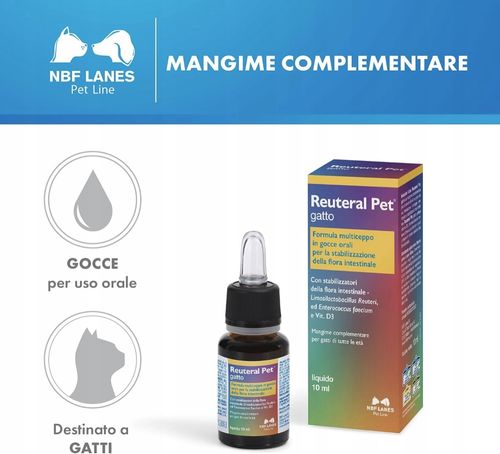 Reuteral Pet gatto NBF Lanes na Arena.pl