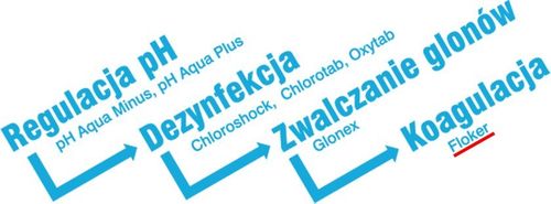 Preparat do basenu FLOKER KAM na Arena.pl