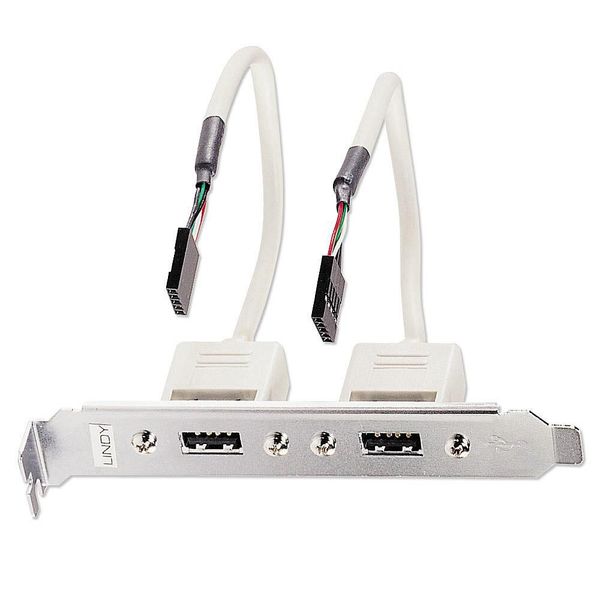 Lindy PC Back Plate, USB 2.0, 2 Port zdjęcie 1
