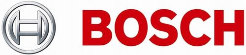 TARCZA HAM TYL 300X17 V BOSCH na Arena.pl
