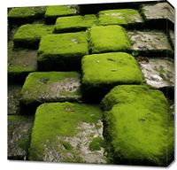 Obraz 60x60cm Zielona Mozaika