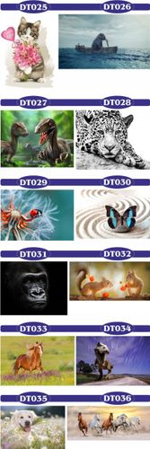 fototapety FOTOTAPETA 3d psy koty kwiaty zwierzęta na Arena.pl