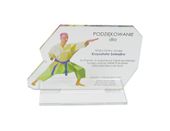 Statuetka z plexi z kolorowym nadrukiem UV - 3 sztuki