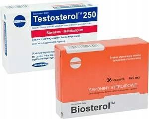 Testrosterol + Biosterol masa i siła Testosteron zdjęcie 7