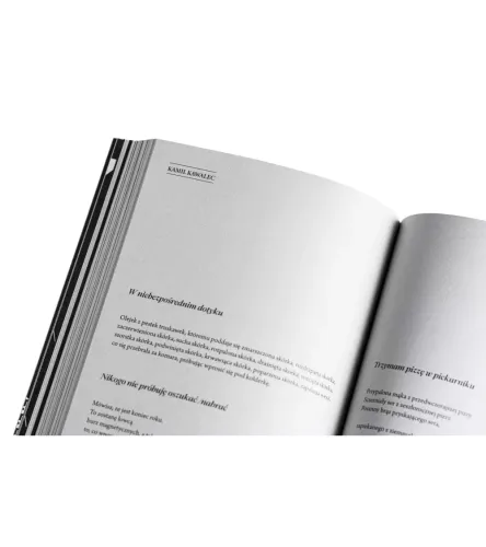 Notatnik Literacki. Nr 2-3 (7-8)/2025 na Arena.pl