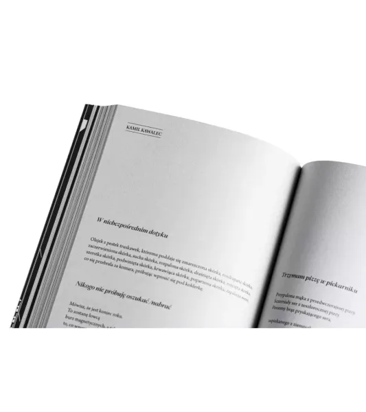 Notatnik Literacki. Nr 2-3 (7-8)/2025 zdjęcie 16