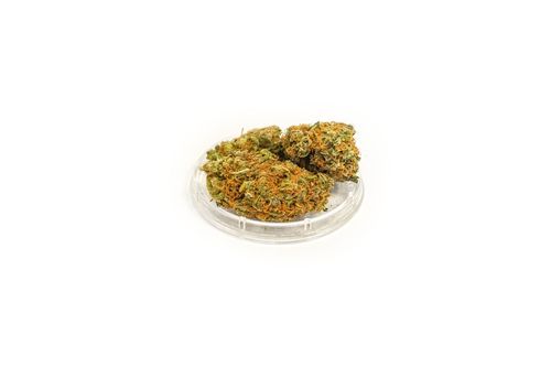 Susz konopny CBD ”Green Candy" 2g na Arena.pl
