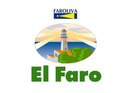 FAROLIVA Oliwki zielone nadziewane - pomarańcza 350 g na Arena.pl