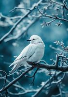 Plakat 29,7x42cm Perłowy Ptak