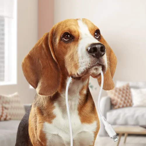 Acefast kabel MFI USB Typ C - Lightning 1,2m, 30W, 3A czarny (C2-01 black) na Arena.pl