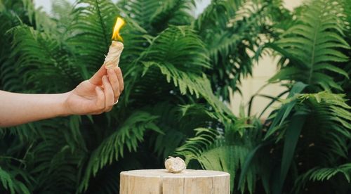 PODPAŁKA ROZPAŁKA DO KOMINKA PIECA GRILLA 2kg + *GRATIS* EKOLOGICZNA na Arena.pl