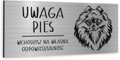 Tabliczka dibind uwaga pies Szpic miniaturowy 20x10 cm NADRUK UV