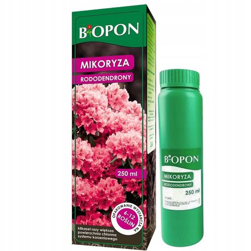 Mikoryza szczepionka do rododendronów wrzosów borówek azalii Biopon 250 ml na Arena.pl