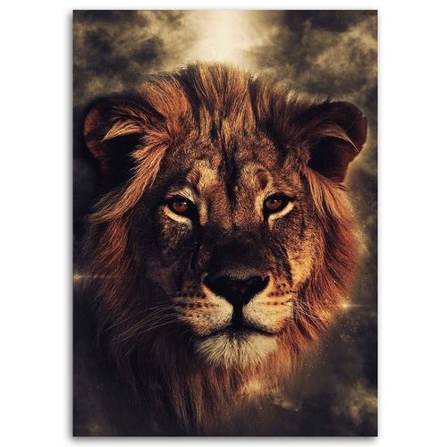 Obraz na płótnie - Canvas, Król zwierząt 50x70 na Arena.pl
