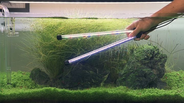 INVITAL AquaSpectrum LED 11,4W 48,5cm zdjęcie 12