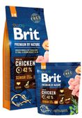 Pełnoporcjowa karma dla starszych psów małych/średnich ras Brit KURCZAK 3kg