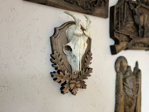 Trofeum myśliwskie z drewna pod poroże, czacha, na prezent dla myśliwego na Arena.pl