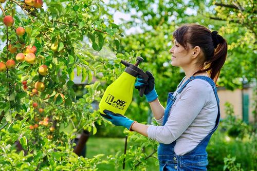 OPRYSKIWACZ CIŚNIENIOWY NO PEST GARDENBLAST PRECISION 1L Z REGULOWANĄ na Arena.pl