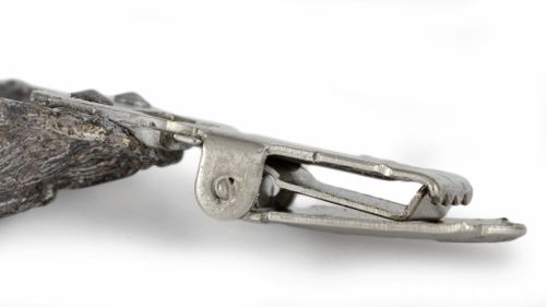 Norfolk Terrier - klips - 1578 na Arena.pl