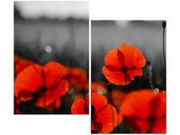 80X70CM SIAŁA BABA MAK JENNY DOWNING DUO OBRAZ