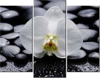 product-compare-58672609