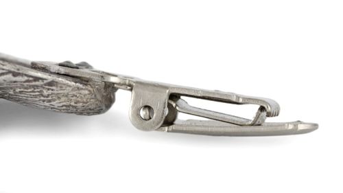 Chihuahua - klips - 243 na Arena.pl