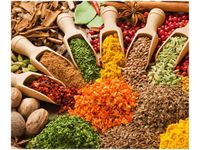 60X50CM FESTIWAL PRZYPRAW OBRAZ ŚCIAN DREWNIANE