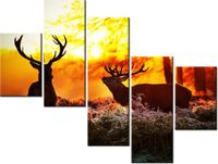 100 75CM OBRAZ 5 ELEM RYKOWISKO ŚCIENNY