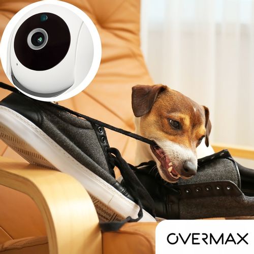 KAMERA DLA PSA KOTA DO OBSERWACJI MONITORING DOMU APLIKACJA Karta SD GRATIS na Arena.pl