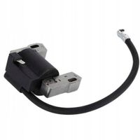 CEWKA ISKROWNIK MODUŁ BRIGGS BS CLASSIC SPRINT 2-4