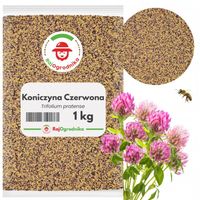 KONICZYNA CZERWONA 1 KG nasiona dla pszczół poplon ŁĄKOWA | RajOgrodnika