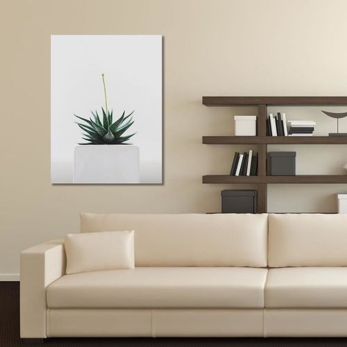 Obraz na płótnie - Canvas, Młoda roślina 30x40 na Arena.pl