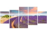 70CM 150CM OBRAZ 5 ELEM POLE LAWENDY ŚCIENNY