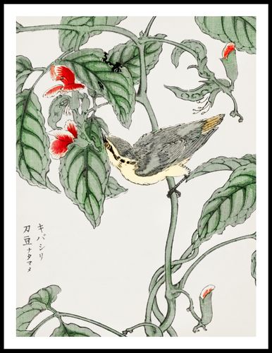 Plakat 60x80cm Tree-Creeper. Kashu Japoński Vintage do Salonu na Arena.pl