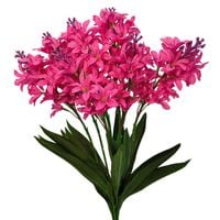 product-compare-61190337