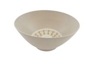 DONICZKA PLANET 290 A3