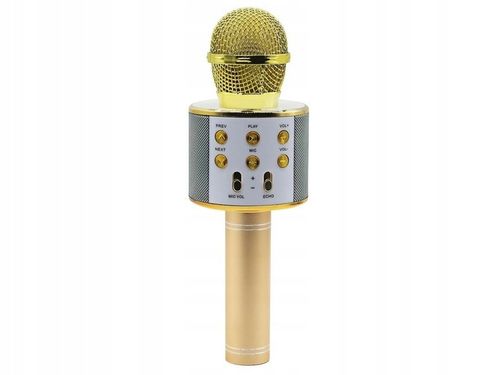 MIKROFON KARAOKE GŁOŚNIK BLUETOOTH MANTA MODULACJA na Arena.pl