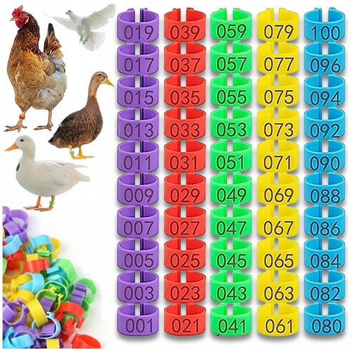 ZNACZNIKI OBRĄCZKI KLIPSY DLA KUR KACZEK GĘSI PTAKÓW 16MM 0.5-2.5kg na Arena.pl