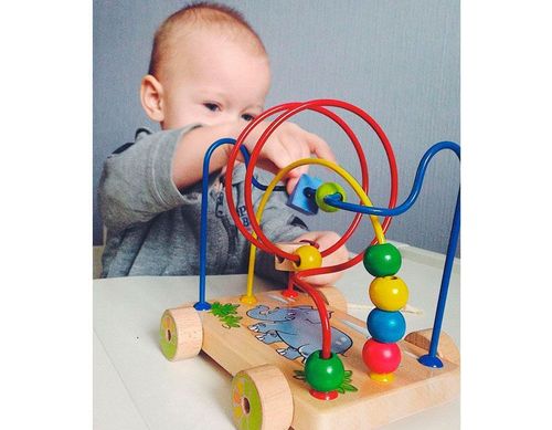 labirynt na kołach słoń d036 na Arena.pl