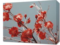 Obraz 50x40cm Szkarłatna Wiosna