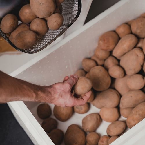 Termobox 15,5L pojemnik styropianowy LODÓWKA TERMO na Arena.pl