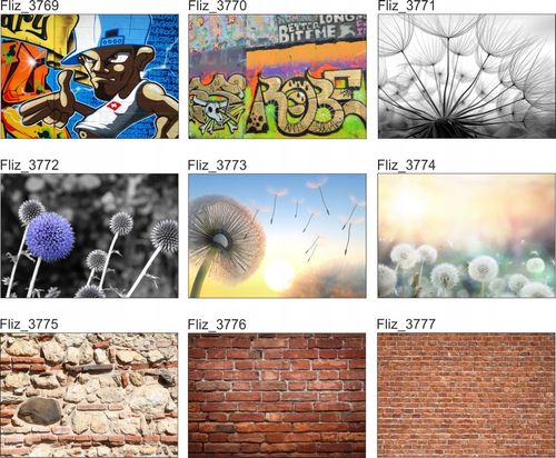 FOTOTAPETA SPRAY GRAFFITI MUR NAPIS 360x240 na Arena.pl